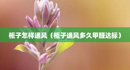 柜子怎样通风（柜子通风多久甲醛达标）