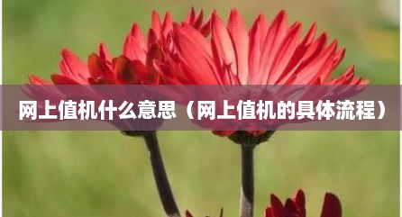 网上值机什么意思（网上值机的具体流程）