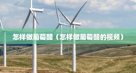 怎样做葡萄醋（怎样做葡萄醋的视频）