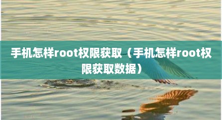 手机怎样root权限获取（手机怎样root权限获取数据）