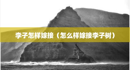 李子怎样嫁接（怎么样嫁接李子树）