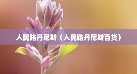 人民路丹尼斯（人民路丹尼斯百货）