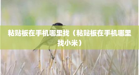 粘贴板在手机哪里找（粘贴板在手机哪里找小米）