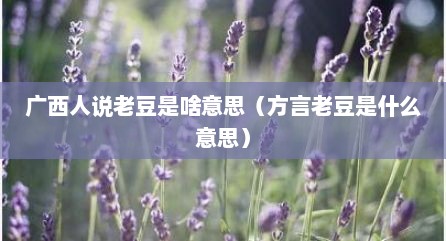 广西人说老豆是啥意思（方言老豆是什么意思）