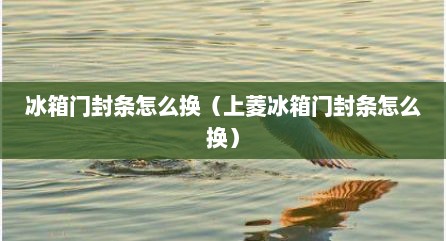 冰箱门封条怎么换（上菱冰箱门封条怎么换）