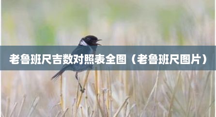 老鲁班尺吉数对照表全图（老鲁班尺图片）