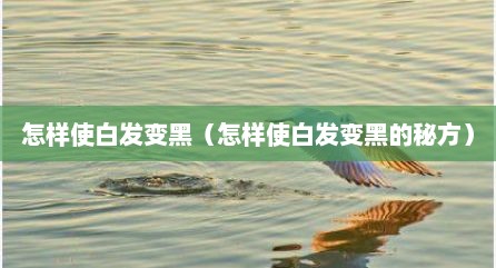 怎样使白发变黑（怎样使白发变黑的秘方）