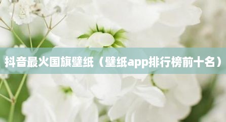 抖音最火国旗壁纸（壁纸app排行榜前十名）