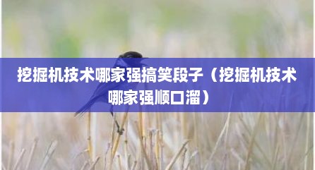 挖掘机技术哪家强搞笑段子（挖掘机技术哪家强顺口溜）