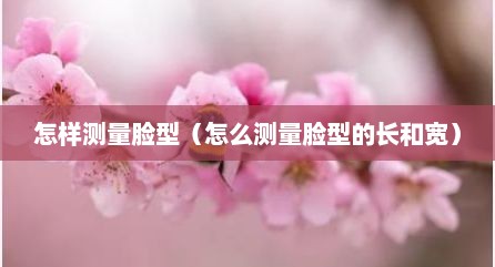怎样测量脸型（怎么测量脸型的长和宽）