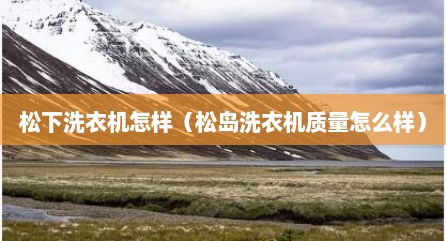 松下洗衣机怎样（松岛洗衣机质量怎么样）