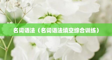 名词语法（名词语法填空综合训练）