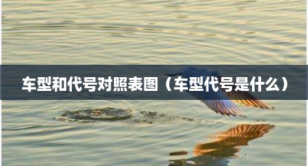 车型和代号对照表图（车型代号是什么）