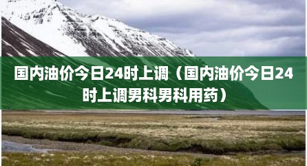 国内油价今日24时上调（国内油价今日24时上调男科男科用药）