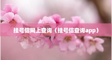挂号信网上查询（挂号信查询app）
