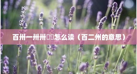 百卅一卅卅卌卌怎么读（百二州的意思）