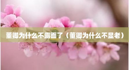 董卿为什么不露面了（董卿为什么不显老）