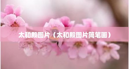 太和殿图片（太和殿图片简笔画）