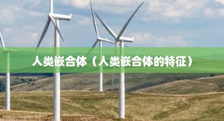 人类嵌合体（人类嵌合体的特征）