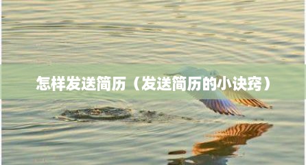 怎样发送简历（发送简历的小诀窍）