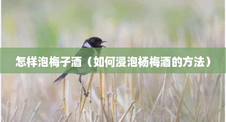 怎样泡梅子酒（如何浸泡杨梅酒的方法）