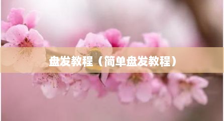 盘发教程（简单盘发教程）