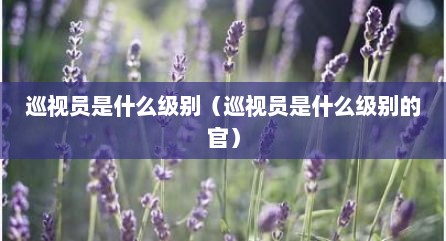 巡视员是什么级别（巡视员是什么级别的官）