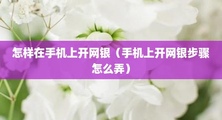 怎样在手机上开网银（手机上开网银步骤怎么弄）