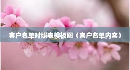 客户名单对照表模板图（客户名单内容）