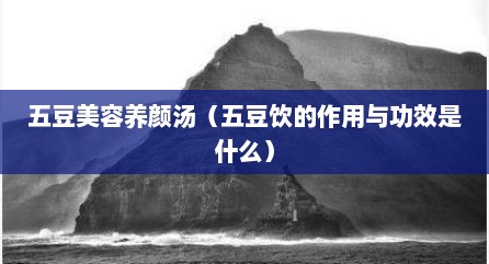 五豆美容养颜汤（五豆饮的作用与功效是什么）