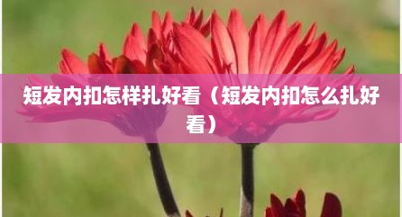短发内扣怎样扎好看（短发内扣怎么扎好看）