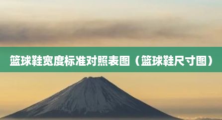 篮球鞋宽度标准对照表图（篮球鞋尺寸图）