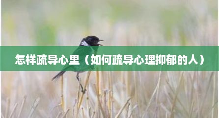 怎样疏导心里（如何疏导心理抑郁的人）