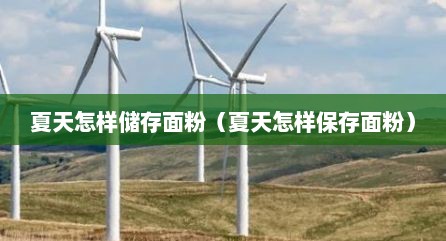 夏天怎样储存面粉（夏天怎样保存面粉）