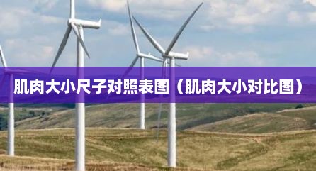 肌肉大小尺子对照表图（肌肉大小对比图）