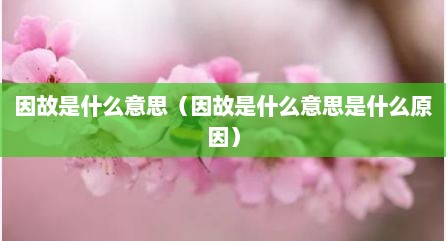 因故是什么意思（因故是什么意思是什么原因）