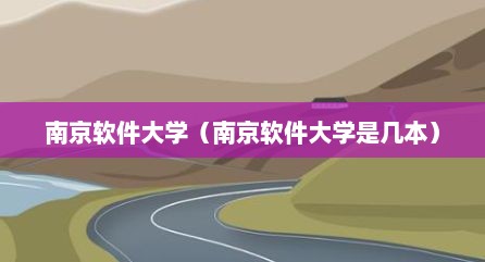 南京软件大学（南京软件大学是几本）