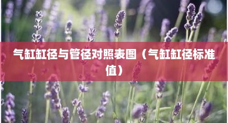 气缸缸径与管径对照表图（气缸缸径标准值）