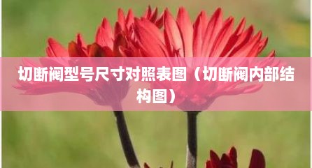 切断阀型号尺寸对照表图（切断阀内部结构图）