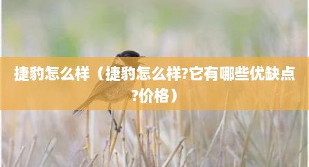 捷豹怎么样（捷豹怎么样?它有哪些优缺点?价格）