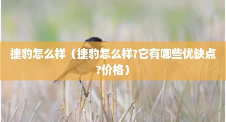 捷豹怎么样（捷豹怎么样?沱有哪些优缺点?价格）