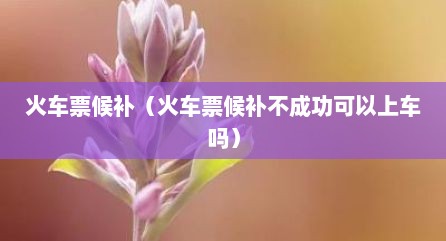 火车票候补（火车票候补不成功可以上车吗）