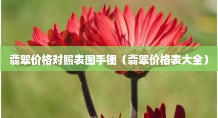翡翠价格对照表图手镯（翡翠价格表大全）