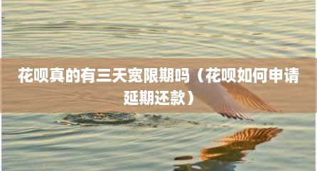 花呗真的有三天宽限期吗（花呗如何申请延期还款）