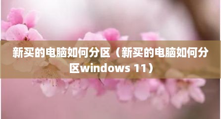 新买的电脑如何分区（新买的电脑如何分区windows 11）