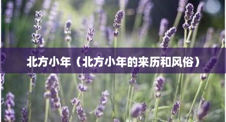 北方小年（北方小年的来历和风俗）