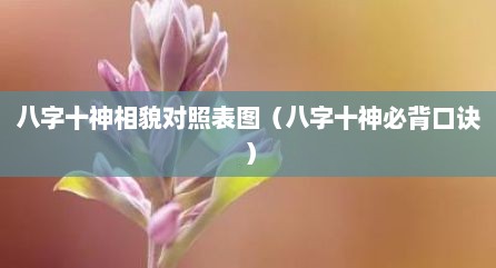 八字十神相貌对照表图（八字十神必背口诀）