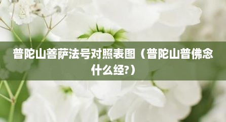 普陀山菩萨法号对照表图（普陀山普佛念什么经?）