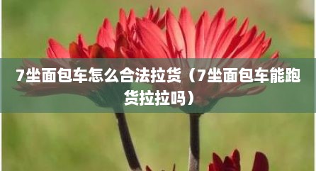 7坐面包车怎么合法拉货（7坐面包车能跑货拉拉吗）