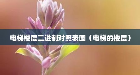 电梯楼层二进制对照表图（电梯的楼层）